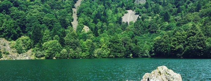 Lac des perches (ou Sternsee) is one of Mael 님이 좋아한 장소.