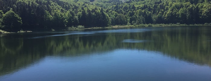 Lac de la Lauch is one of Lieux qui ont plu à Mael.