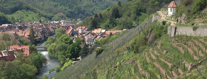 Sentier Viticole du Rangen is one of Thann à visiter.