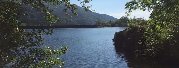 Lac d'Alfeld is one of Maelさんのお気に入りスポット.
