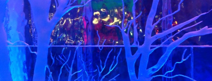 Minus 5° Ice Bar is one of 2013 New York.