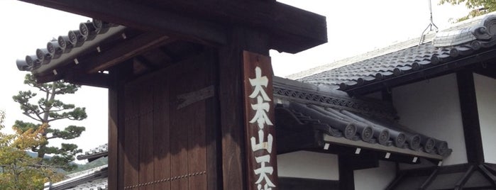 Tenryu-ji Temple is one of Travel : Sakura Spot.