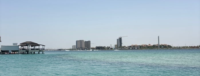 Dive Village is one of jeddah.