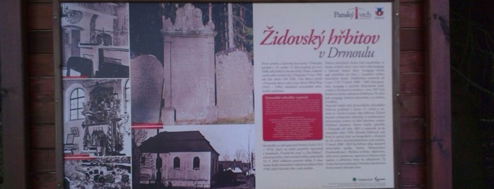 Drmoulský Židovský hřbitov is one of Уникальные места.
