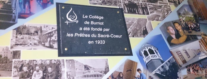 Collège de Burnot is one of fréquents.