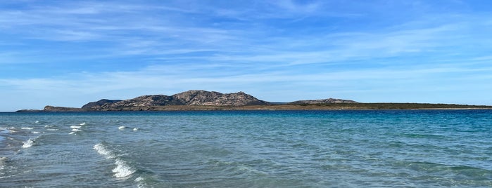 Spiaggia della Pelosa is one of Sardinië.