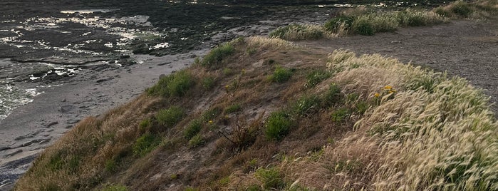 Dunes de la Pointe aux Oies is one of Opaalkust.