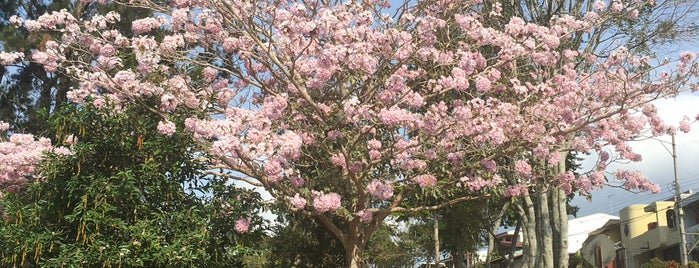 Parque Infantil Los Robles is one of Jam Sessions.