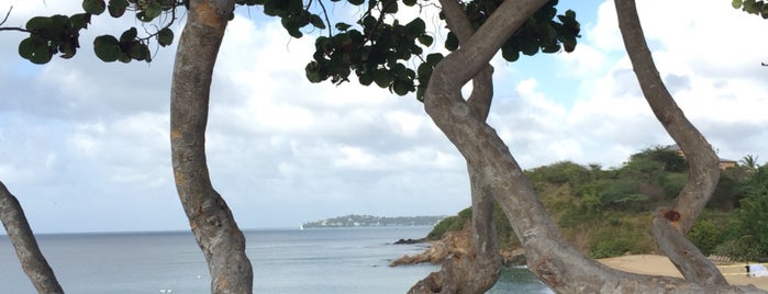 W Retreat & Spa - Vieques Island is one of สถานที่ที่ Nancerella ถูกใจ.