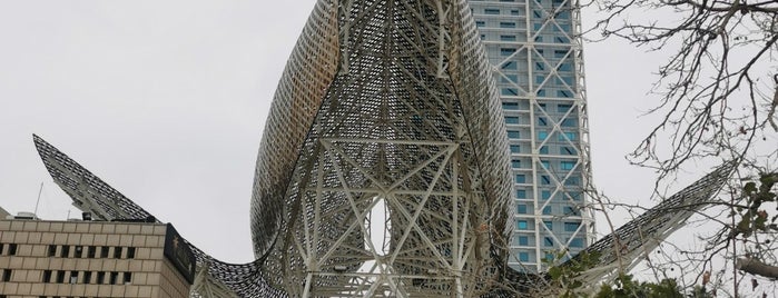 Pez y Esfera (Frank Gehry's Fish) is one of Barcelona.