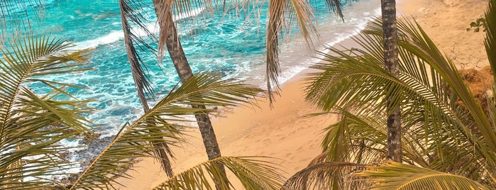 Playa Manzanillo is one of Costa Rica.