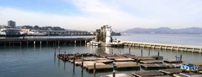 Pier 39 is one of SF Places I've Been.