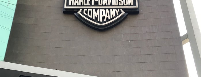 Harley-Davidson Motor Co. is one of Posti che sono piaciuti a Kevin'.