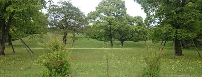 西都原古墳群 is one of 西日本の古墳 Acient Tombs in Western Japan.
