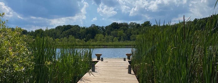 Dolph Nature Area is one of Ann Arbor Parks and Nature.