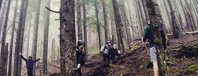 Rattlesnake Ledge Trail is one of Locais curtidos por Tyler.