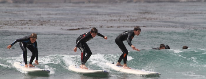 Carmel Surf Lessons is one of CALI.
