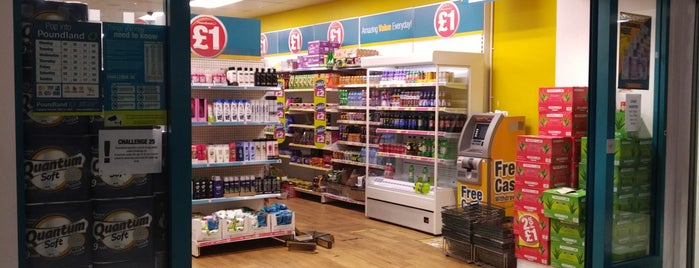 Poundland is one of Grocery.