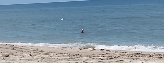 Stuart Beach is one of Florida.