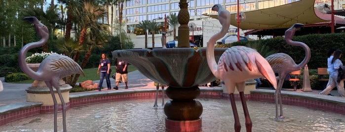 Flamingo Garden Gazebo is one of Vegas Gold and New.