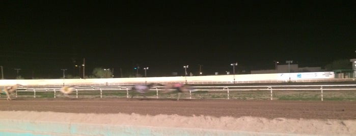 Tucson Greyhound Park is one of Favorite affordable date spots.