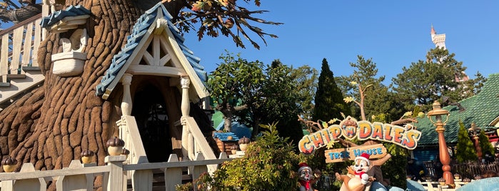 チップとデールのツリーハウス is one of Tokyo Disney Resort♡.