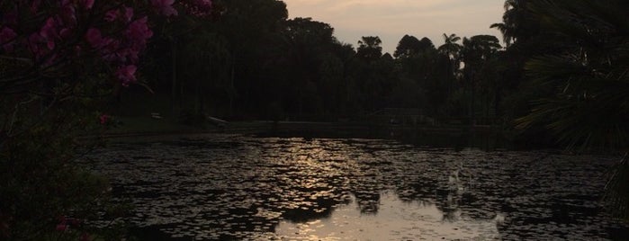 Jardim Botânico de São Paulo is one of สถานที่ที่ Fabio ถูกใจ.