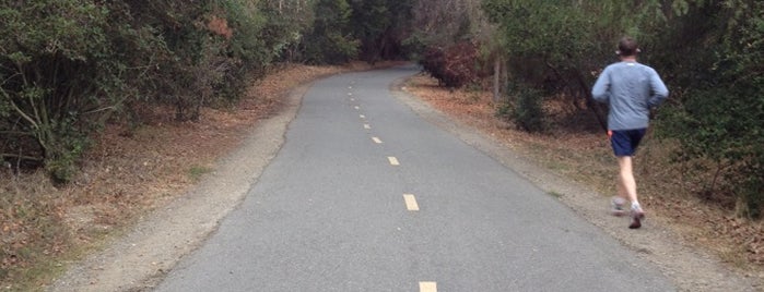 Stevens Creek Trail is one of Locais curtidos por Fabio.