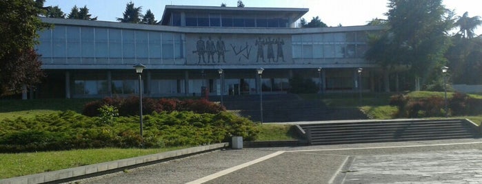 Yugoslav Tarihi Müzesi is one of Belgrade museums & art galleries.