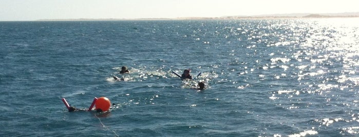 Ningaloo Reef Marine Park is one of Australia favorites by Jas.