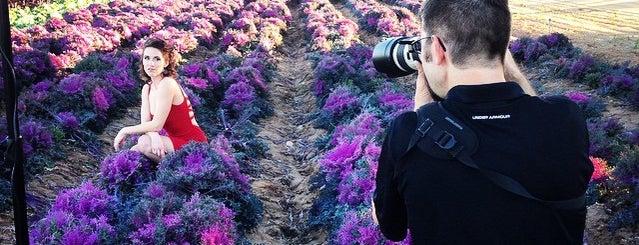 Blue Sky Organic Farms is one of Barry'ın Beğendiği Mekanlar.