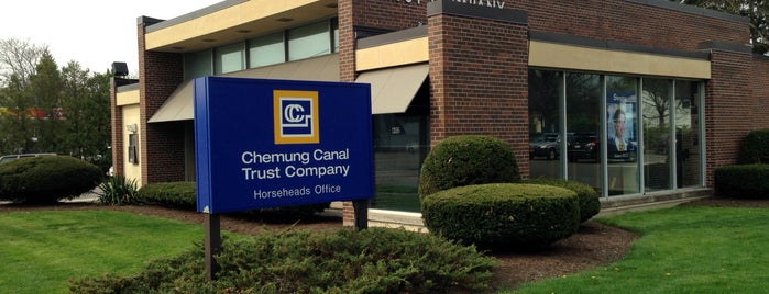 Chemung Canal Trust Company is one of Comments list.