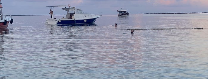 Çeşmeönü is one of Posti che sono piaciuti a Elrond.