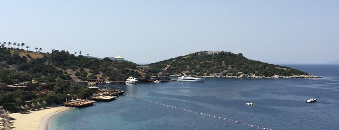 Assaggio is one of Bodrum !!.
