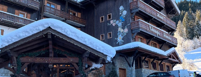 Morzine is one of Stations de ski (France - Alpes).