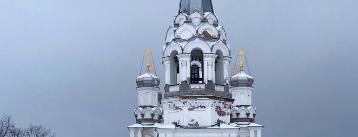 Церковь святой мученицы Царицы Александры is one of ленобласть!.