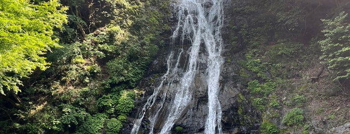 丸神の滝 is one of 日本の滝百選.