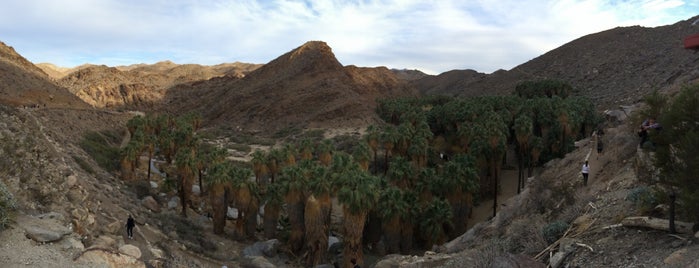 Indian Canyons is one of Thousand Swaying Palms.