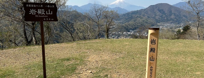 Mt. Iwadono is one of 山梨百名山.