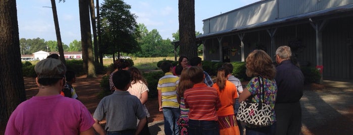 Tobacco Farm Life Museum is one of Science, Art & History.