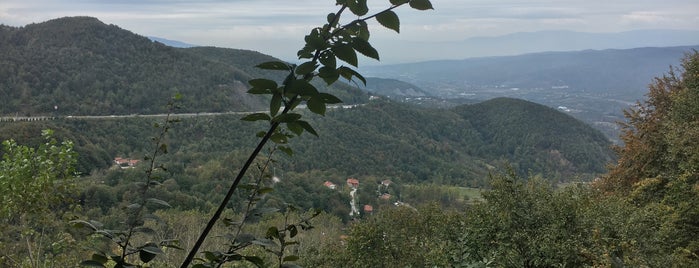 Aslan et Lokantası is one of Tempat yang Disukai Davut.