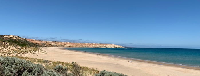 Maslin Beach is one of Lieux qui ont plu à Eric.