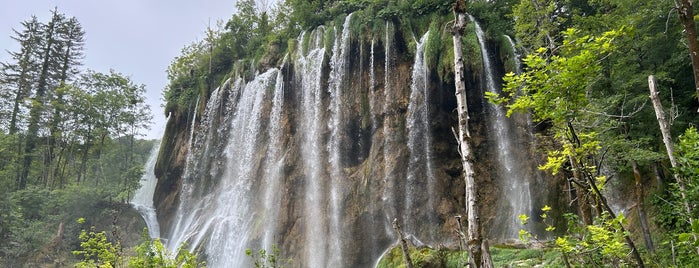 Parque nacional de los Lagos de Plitvice is one of Lugares guardados de Darwin.