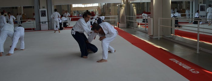 Umit Vurgun Aikido/Bornova is one of Ender’s Liked Places.