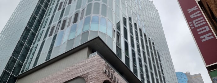 Tokyu Kabukicho Tower is one of サブカルチャー.