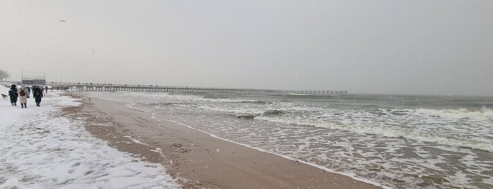 Palanga Beach is one of Литва 🇱🇹.