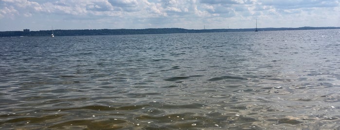 Sandy Hook Bay Side is one of John : понравившиеся места.