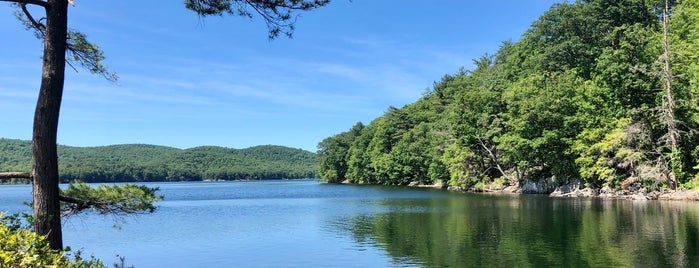 Sterling Forest is one of New York State Parks.