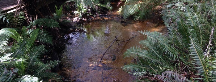 Lilly Pilly Gully is one of Daniel'in Beğendiği Mekanlar.