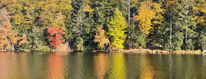 Onteora Lake is one of Catskills.